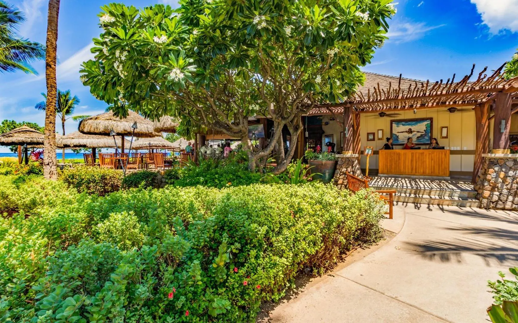Honua Kai #316 Daire Lahaina